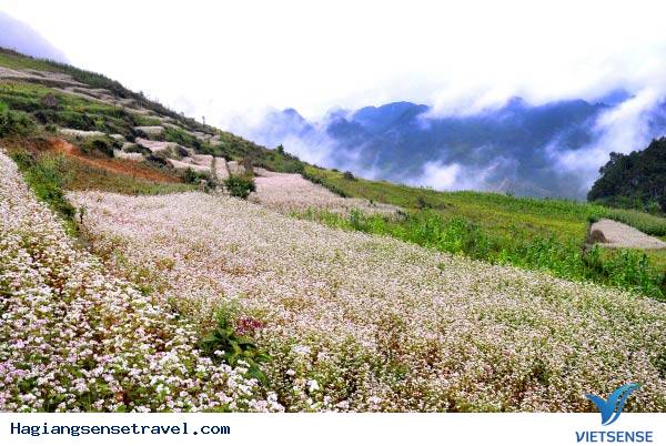 Lịch trình, cung đường - Ảnh 2