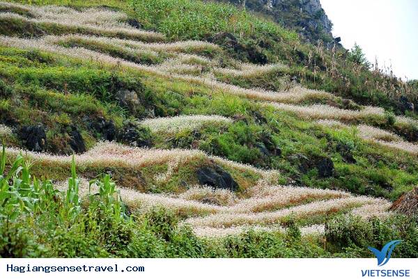 Lịch trình, cung đường - Ảnh 3