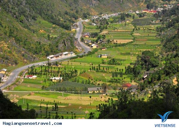 Khách sạn, nhà nghỉ