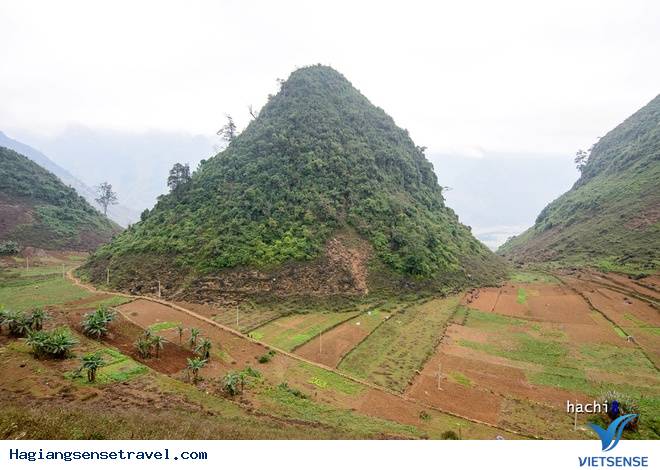 Cận Cảnh Hang Lùng Khúy - Đệ Nhất Hang Động Trên Cao Nguyên Đá - Ảnh 1