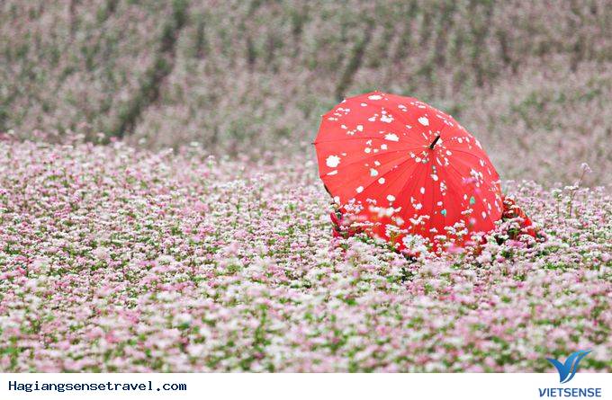 Cận Cảnh Vẻ Bình Yên Của Xín Mần - Hà Giang - Ảnh 10