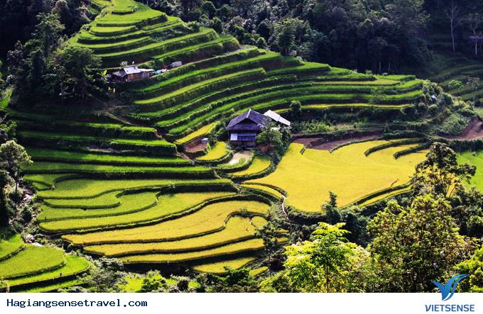 Cận Cảnh Vẻ Bình Yên Của Xín Mần - Hà Giang - Ảnh 4