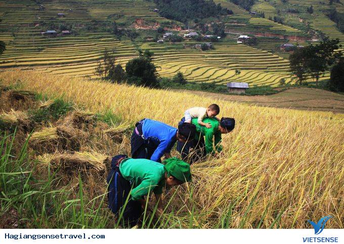 Cận Cảnh Vẻ Bình Yên Của Xín Mần - Hà Giang - Ảnh 8