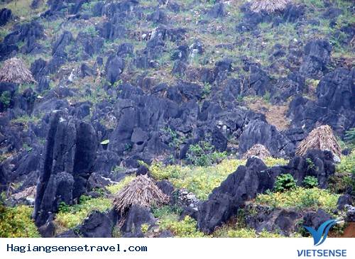 Cao Nguyên Đá Đồng Văn - Mảnh Đất Của Tình Yêu - Ảnh 1