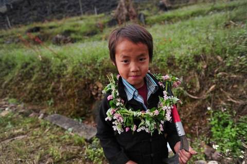 Cao Nguyên Mùa Hoa Tam Giác Mạch - Ảnh 8