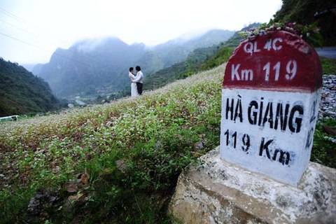 Cao Nguyên Mùa Hoa Tam Giác Mạch - Ảnh 4