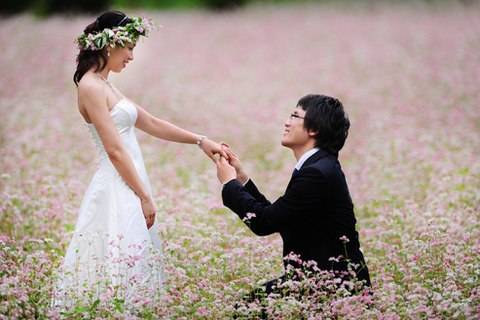 Cao Nguyên Mùa Hoa Tam Giác Mạch - Ảnh 5