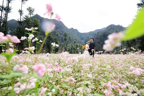 Cao Nguyên Mùa Hoa Tam Giác Mạch - Ảnh 12