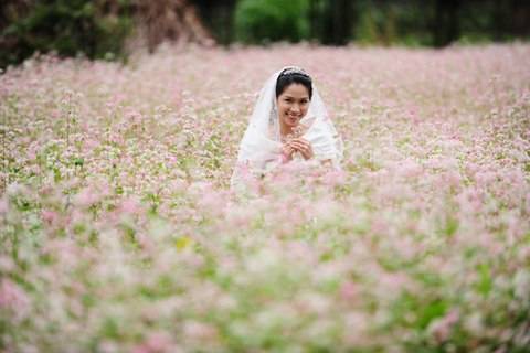 Cao Nguyên Mùa Hoa Tam Giác Mạch - Ảnh 6