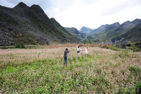 Cao Nguyên Mùa Hoa Tam Giác Mạch - Ảnh 2