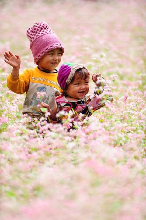 Cao Nguyên Mùa Hoa Tam Giác Mạch - Ảnh 7