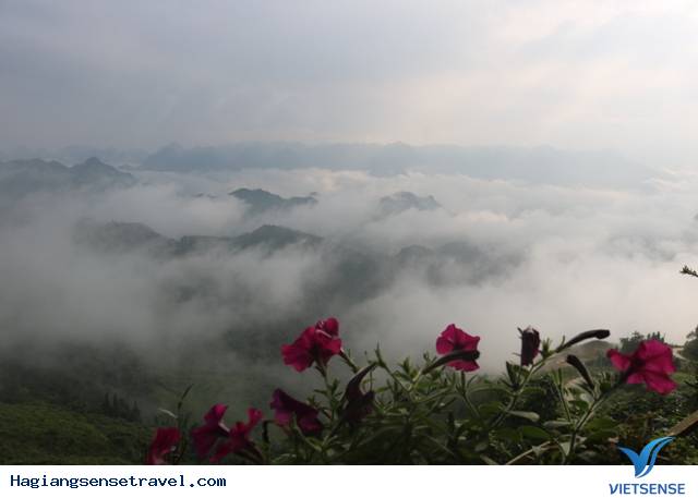 Chiêm ngưỡng biển mây nơi Cổng trời Quản Bạ Hà Giang - Ảnh 6