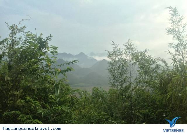 Chiêm ngưỡng biển mây nơi Cổng trời Quản Bạ Hà Giang - Ảnh 7