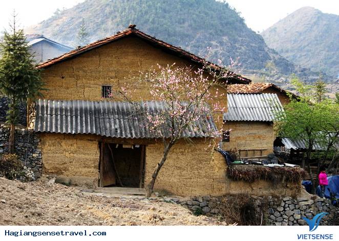 Chùm Ảnh Mùa Xuân Trên Cao Nguyên Đá - Ảnh 6 Chùm Ảnh Mùa Xuân Trên Cao Nguyên Đá - Ảnh 6