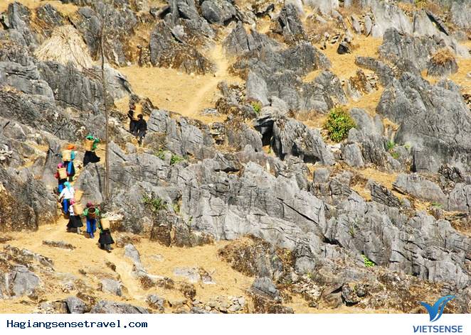 Chùm Ảnh Mùa Xuân Trên Cao Nguyên Đá - Ảnh 1 Chùm Ảnh Mùa Xuân Trên Cao Nguyên Đá - Ảnh 1