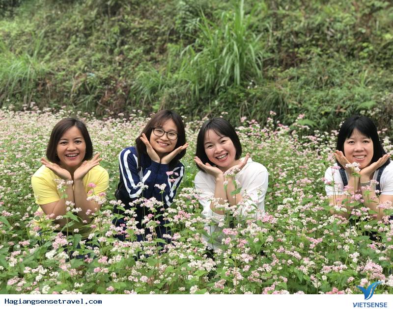 Có Một Mùa Tam Giác Mạch Nhuộm Hồng Hà Giang - Ảnh 15 Có Một Mùa Tam Giác Mạch Nhuộm Hồng Hà Giang - Ảnh 15