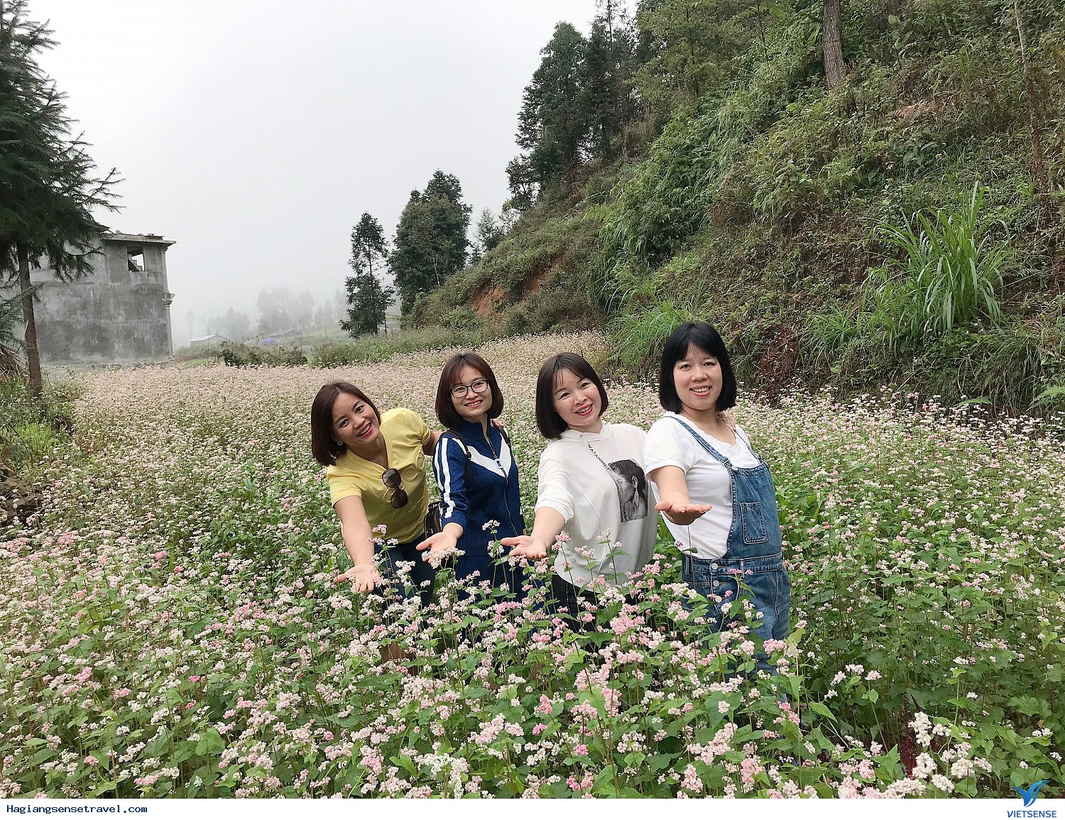 Có Một Mùa Tam Giác Mạch Nhuộm Hồng Hà Giang - Ảnh 6 Có Một Mùa Tam Giác Mạch Nhuộm Hồng Hà Giang - Ảnh 6