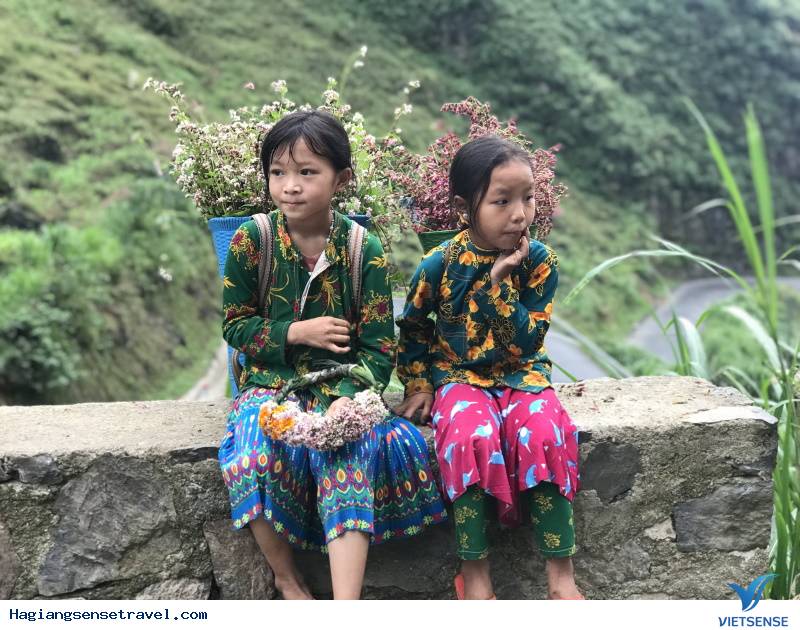 Có Một Mùa Tam Giác Mạch Nhuộm Hồng Hà Giang - Ảnh 13 Có Một Mùa Tam Giác Mạch Nhuộm Hồng Hà Giang - Ảnh 13