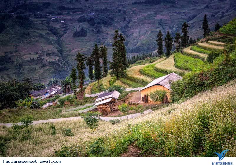 Đá Nở Hoa Nơi Thung Lũng Sủng Là - Ảnh 4 Đá Nở Hoa Nơi Thung Lũng Sủng Là - Ảnh 4