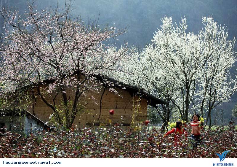 Đá Nở Hoa Nơi Thung Lũng Sủng Là - Ảnh 3 Đá Nở Hoa Nơi Thung Lũng Sủng Là - Ảnh 3