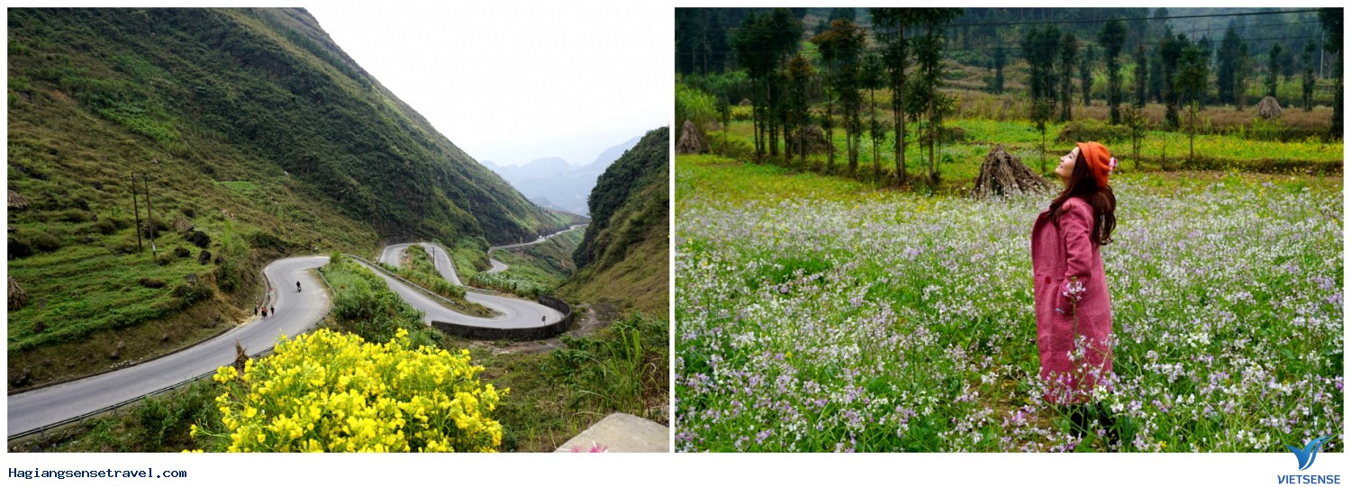 : đặc sản núi rừng Đông Bắc