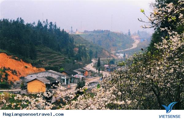 Đắm Mình Vào Vẻ Đẹp Say Lòng Người Ở Hà Giang - Ảnh 18