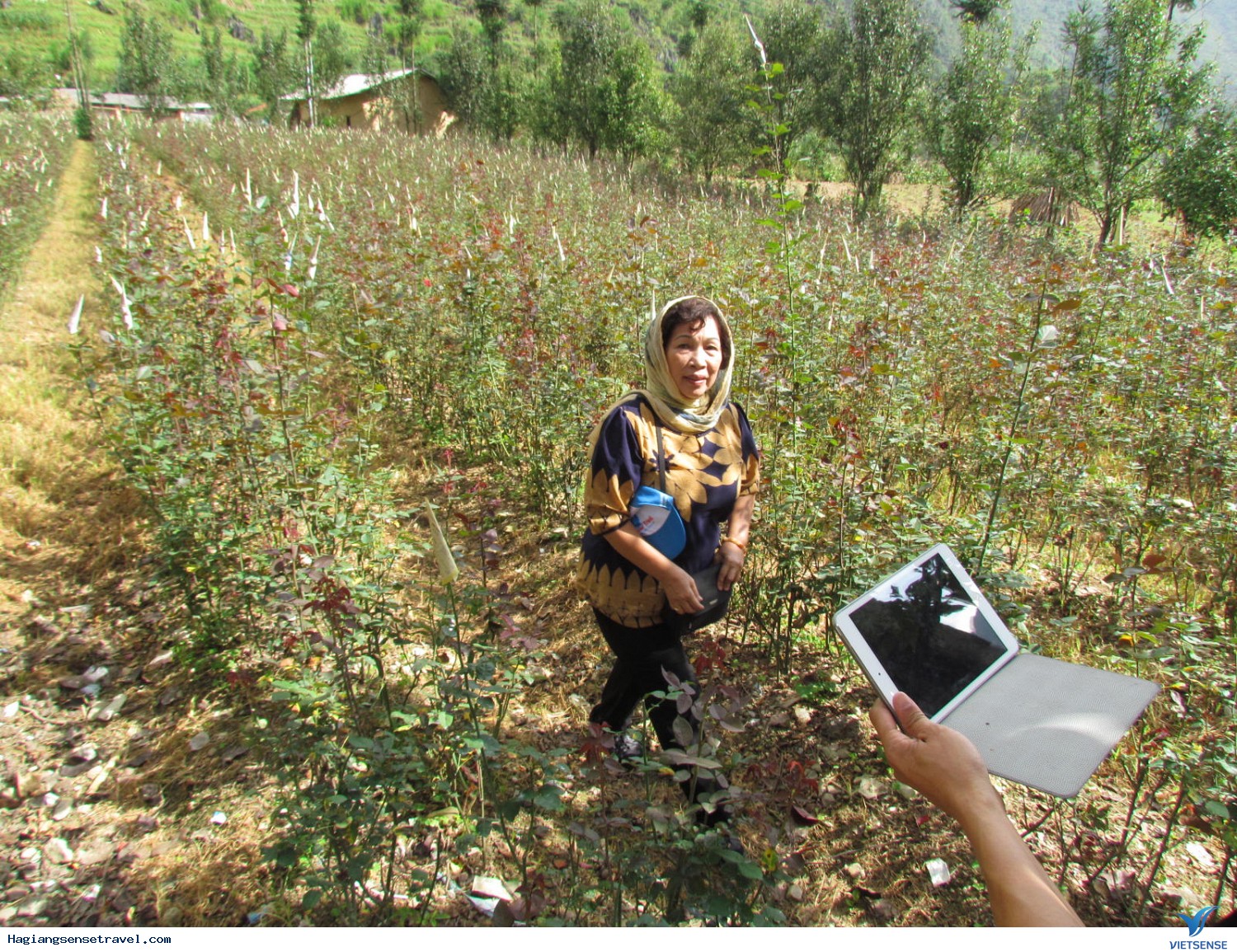 Ảnh Đoàn Hà Giang Ngày 11 - 14/09 - Ảnh 17