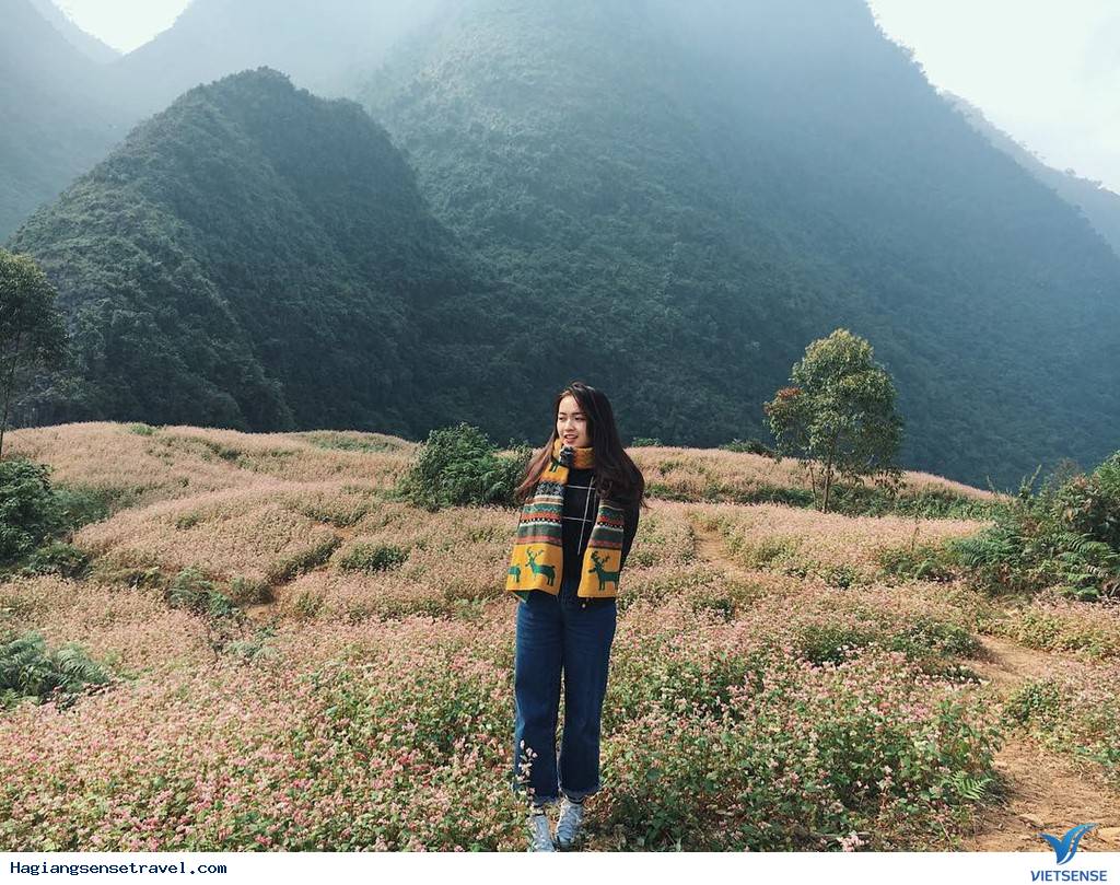 Đi Hà Giang Mùa Hoa Tam Giác Mạch Nên Check-in Ở Đâu Là Đẹp Nhất - Ảnh 21