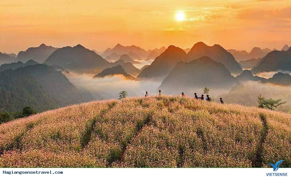 Đi Hà Giang Mùa Hoa Tam Giác Mạch Nên Check-in Ở Đâu Là Đẹp Nhất - Ảnh 14