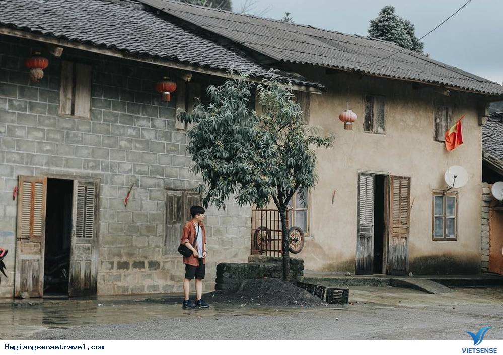 Đi Hà Giang Mùa Hoa Tam Giác Mạch Nên Check-in Ở Đâu Là Đẹp Nhất - Ảnh 3