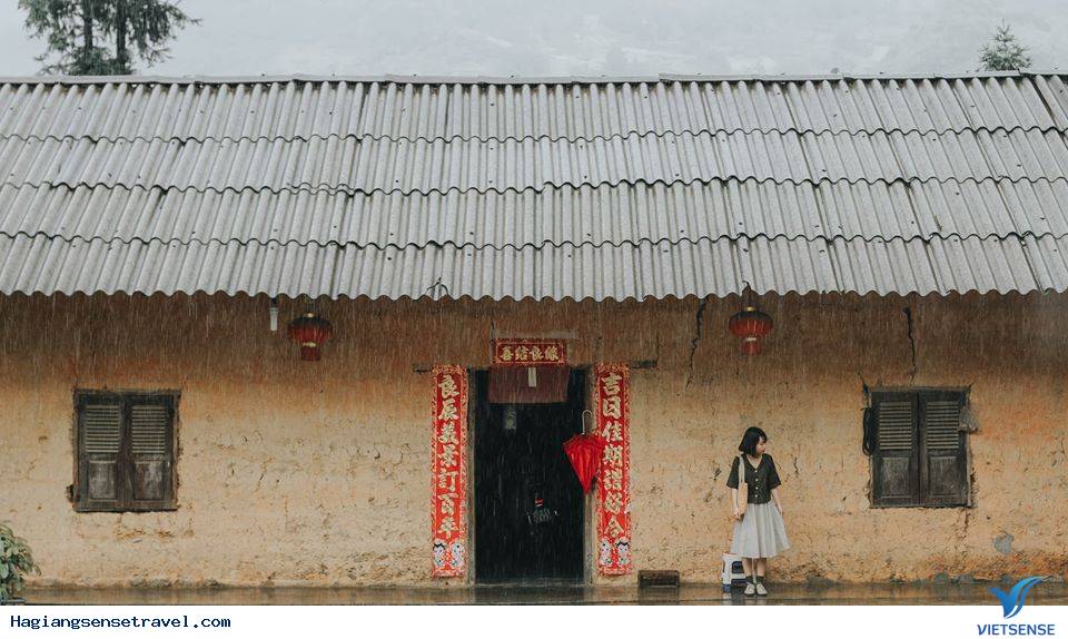 Đi Hà Giang Mùa Hoa Tam Giác Mạch Nên Check-in Ở Đâu Là Đẹp Nhất - Ảnh 2