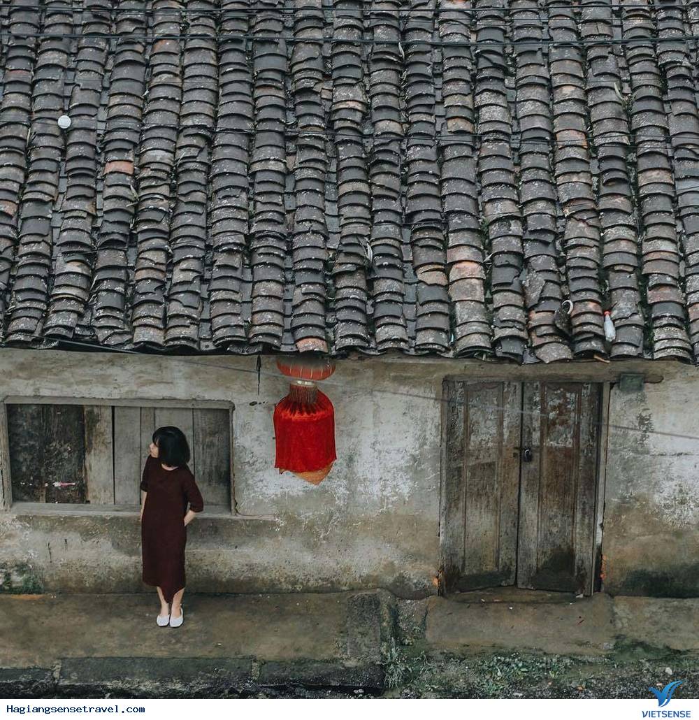 Đi Hà Giang Mùa Hoa Tam Giác Mạch Nên Check-in Ở Đâu Là Đẹp Nhất - Ảnh 1