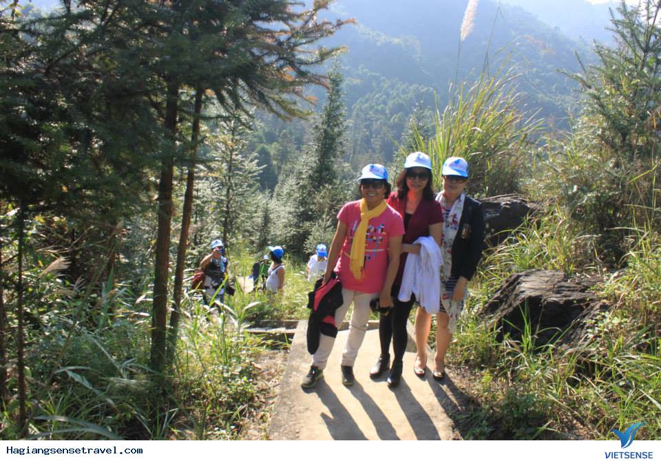 Đoàn Hà Giang Ngày 28-11-2014 - Ảnh 3 Đoàn Hà Giang Ngày 28-11-2014 - Ảnh 3