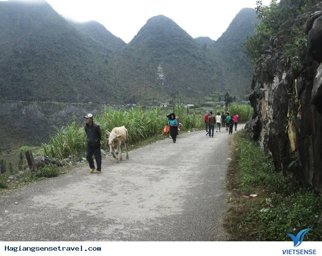 Độc Đáo Chợ Lùi Sà Phìn Trên Vùng Cao Nguyên Đá Hà Giang - Ảnh 1 Độc Đáo Chợ Lùi Sà Phìn Trên Vùng Cao Nguyên Đá Hà Giang - Ảnh 1