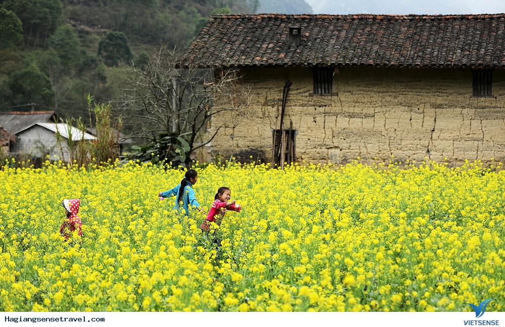 Đón Chờ Khoảnh Khắc Mùa Xuân Đang Về Trên Cao Nguyên Đá Hà Giang - Ảnh 2