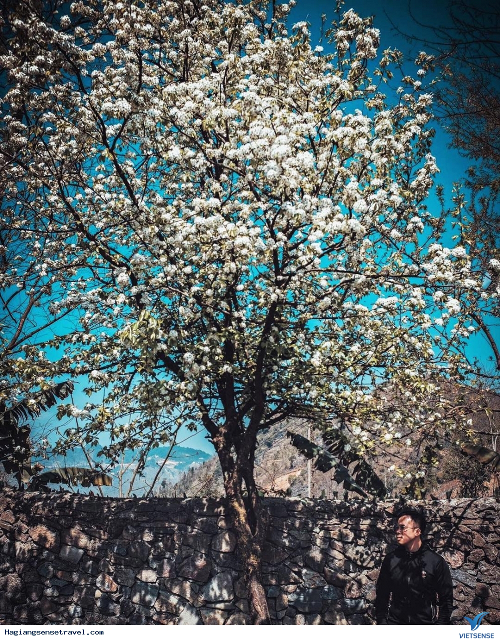 Đón Chờ Khoảnh Khắc Mùa Xuân Đang Về Trên Cao Nguyên Đá Hà Giang - Ảnh 1