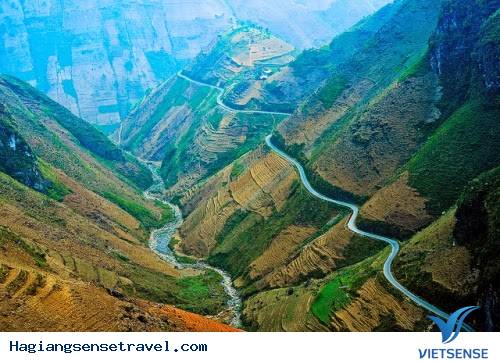 “Cặp đôi” huyền thoại của miền hoa đá - Ảnh 1