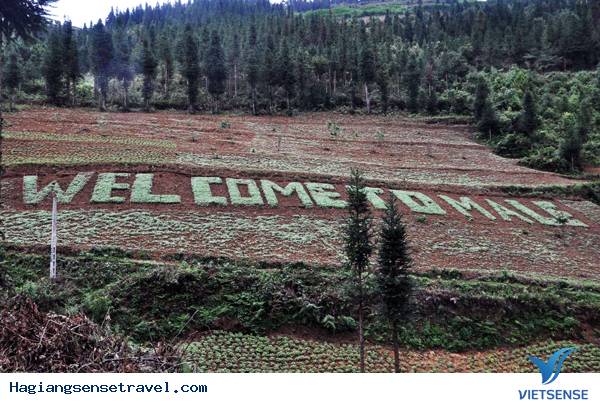 Đồng Văn Hoàn Tất Công Tác Chuẩn Bị Lễ Hội Hoa Tam Giác Mạch Lần Thứ Nhất Năm 2015 - Ảnh 1