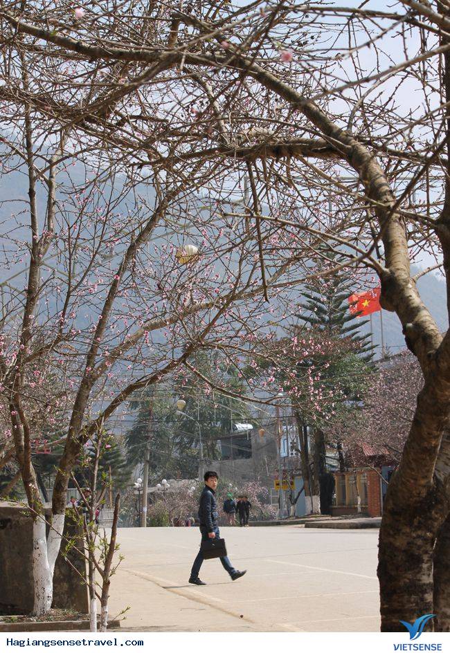 Đồng Văn Vào Mùa Hoa Đào - Ảnh 8 Đồng Văn Vào Mùa Hoa Đào - Ảnh 8