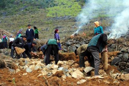 Di Sản Văn Hóa Tại Mèo Vạc - Ảnh 2 Di Sản Văn Hóa Tại Mèo Vạc - Ảnh 2