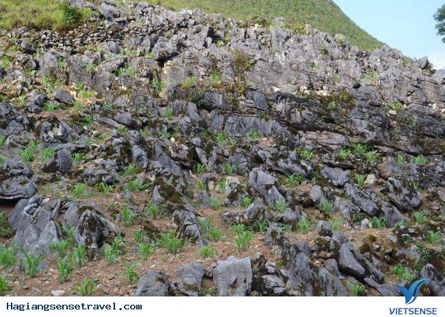 Bãi đá Mặt trăng đặc sản cao nguyên đá Đồng Văn - Ảnh 1 Bãi đá Mặt trăng đặc sản cao nguyên đá Đồng Văn - Ảnh 1