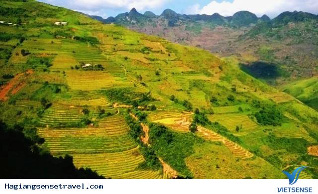 Chiêm ngưỡng ruộng bậc thang vào mùa lúa chín của huyện Hoàng Su Phì Chiêm ngưỡng ruộng bậc thang vào mùa lúa chín của huyện Hoàng Su Phì