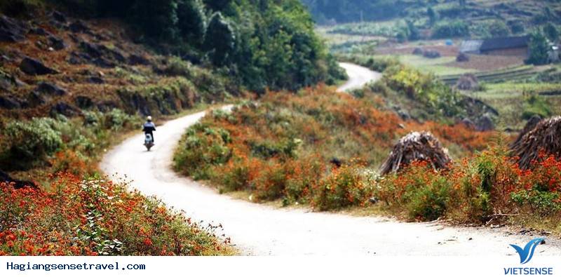 Hà Giang Những Ngày Đầu Năm Mới - Ảnh 4 Hà Giang Những Ngày Đầu Năm Mới - Ảnh 4