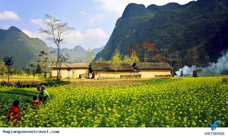 Hà Giang Những Ngày Đầu Năm Mới - Ảnh 1 Hà Giang Những Ngày Đầu Năm Mới - Ảnh 1