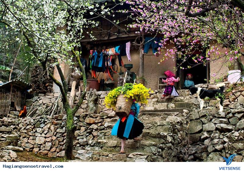 Hà Giang Những Ngày Đầu Năm Mới - Ảnh 2 Hà Giang Những Ngày Đầu Năm Mới - Ảnh 2