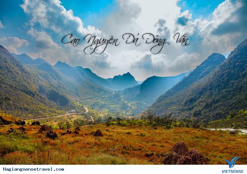 Revew Cao Nguyên Đá Đồng Văn từ A - Z - Ảnh 1