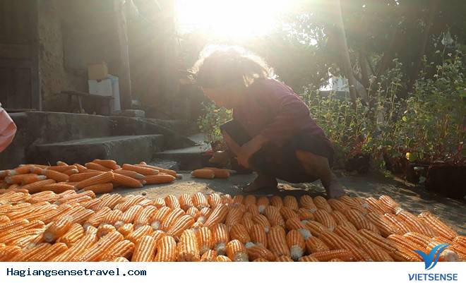 Hà Giang - Hùng Vĩ Và Nên Thơ Nơi Địa Đầu Tổ Quốc - Ảnh 6