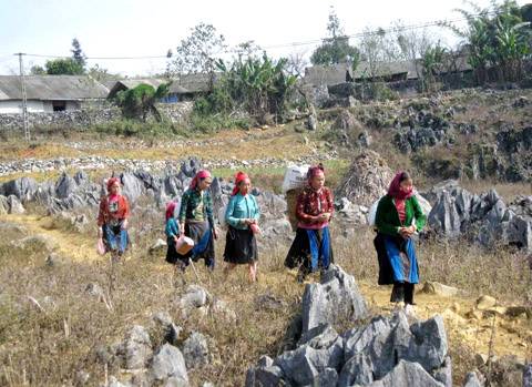 Hà Giang Bàn Giao 2 Di Sản Địa Chất Cho Huyện Đồng Văn Quản Lý - Ảnh 2 Hà Giang Bàn Giao 2 Di Sản Địa Chất Cho Huyện Đồng Văn Quản Lý - Ảnh 2