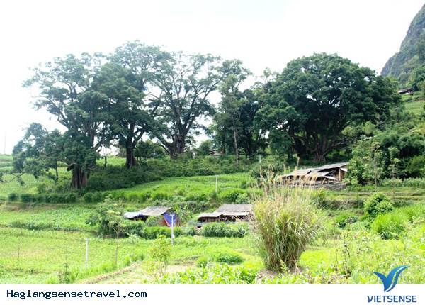 Các điểm thăm quan hấp dẫn trên cao nguyên đá Hà Giang - Ảnh 3 Các điểm thăm quan hấp dẫn trên cao nguyên đá Hà Giang - Ảnh 3