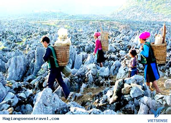 Các điểm thăm quan hấp dẫn trên cao nguyên đá Hà Giang - Ảnh 1 Các điểm thăm quan hấp dẫn trên cao nguyên đá Hà Giang - Ảnh 1